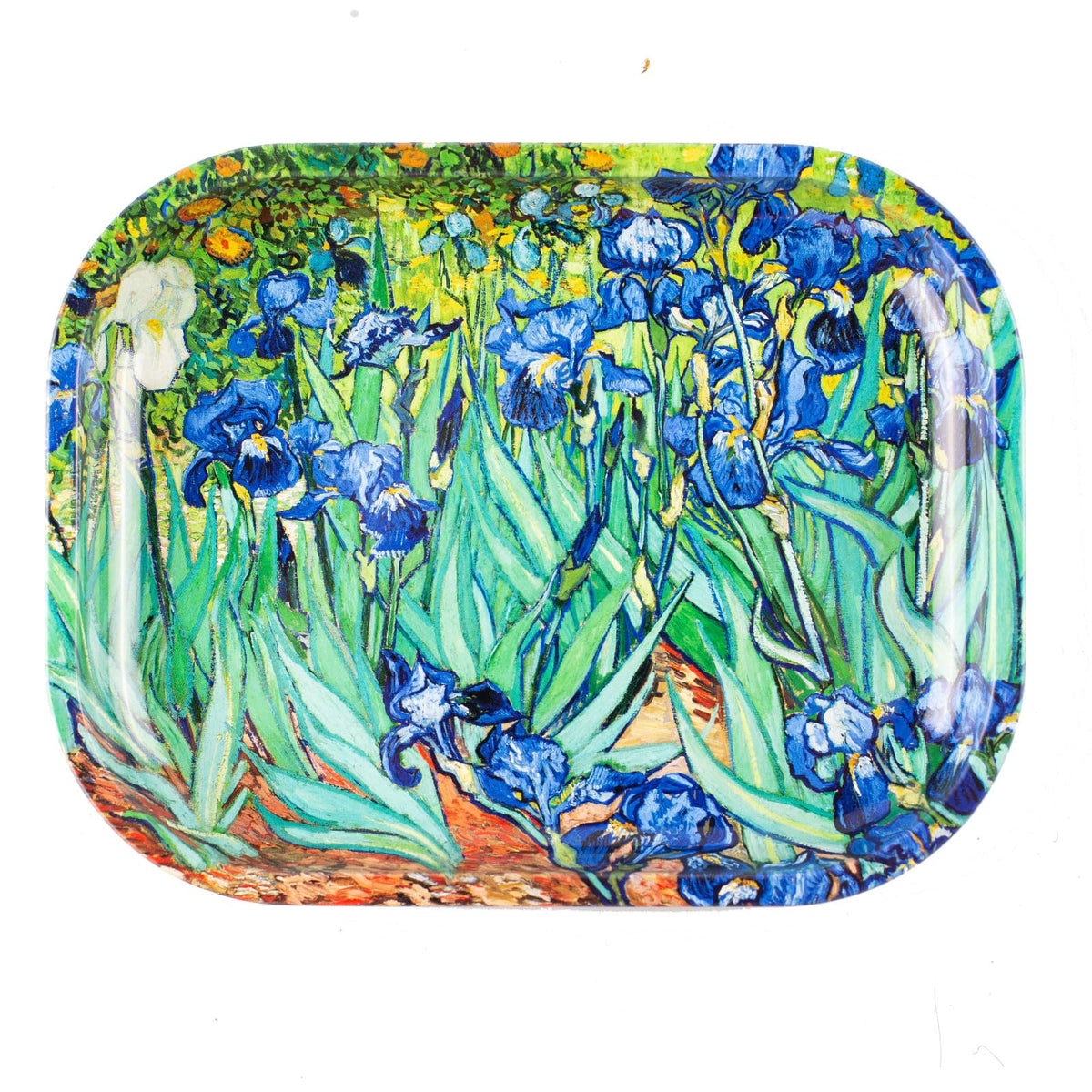Metal Decorative Tray Small, Iris Flower 7x5.5in for Home Storage